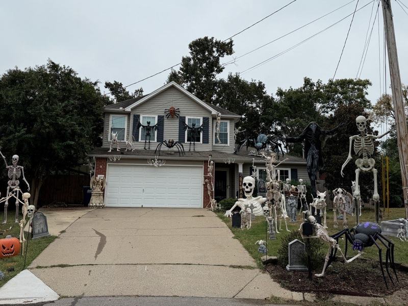 Spooky Scary Skeletons