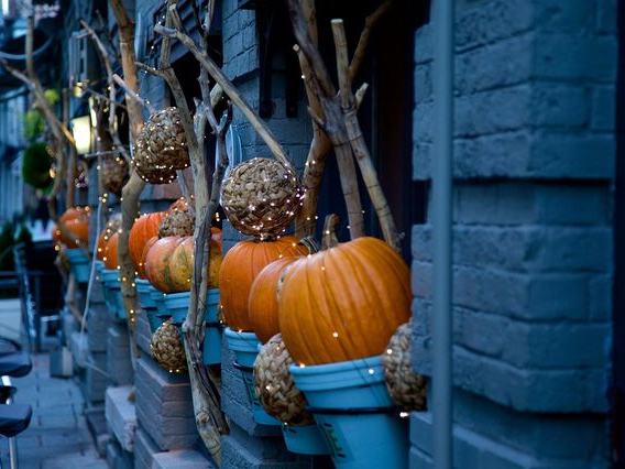 Applecrest Farm Fall Harvest Festival — Weekends thru Oct 31