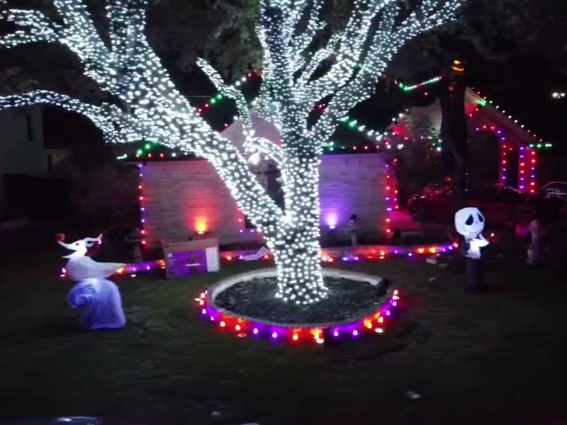 Lights And Animatronics