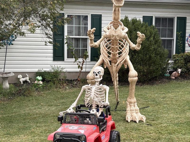 Freaky Yard