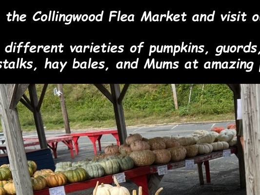 Collingwood Auction & Flea Market — Farmingdale, NJ · Fridays, Sat & Sun, 8 AM–5 PM, year-round
