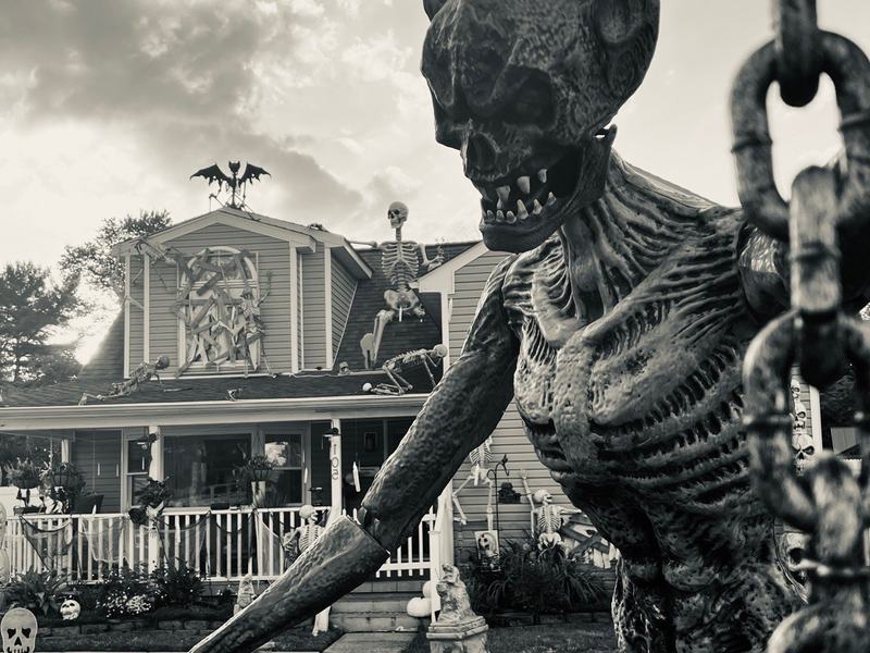 Skeleton House