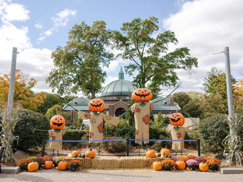 Zoo Boo at the Detroit Zoo — Detroit Zoo · Oct 3-25