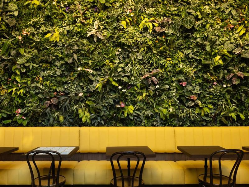 Devoción — Farm-Fresh Coffee, Williamsburg