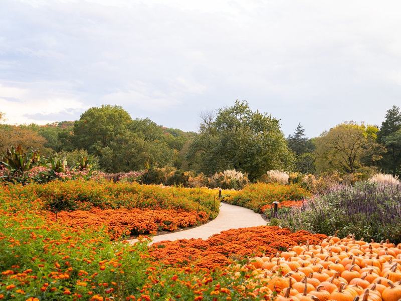 Halloween Pooch Party — Cheekwood · Oct 24–25