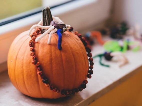 Kingdom Corn Maze — Fall Season