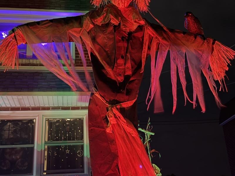 Scarecrow/Pumpkin patch