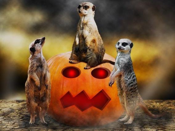 Montpelier Ghost Tours and Haunted Pub Crawls
