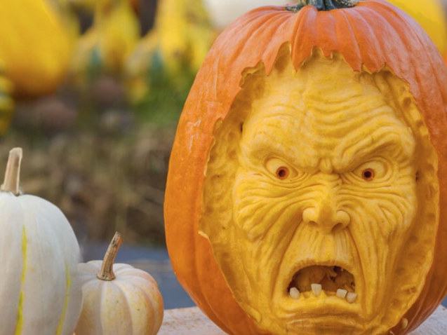 Giant Pumpkin Weekend at NYBG — 2026-10-20 to 2026-10-21 (Included with garden admission)