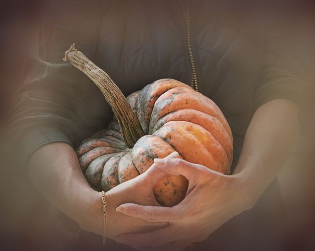Hangar 1 Cafe Trunk or Treat — Oct 24