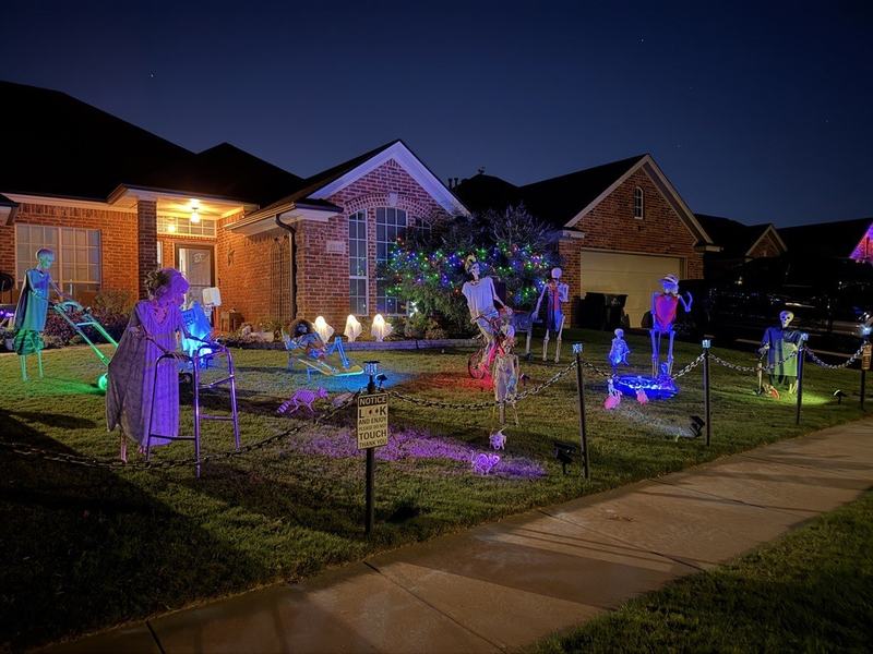 The Skeletons Of Spring Hill