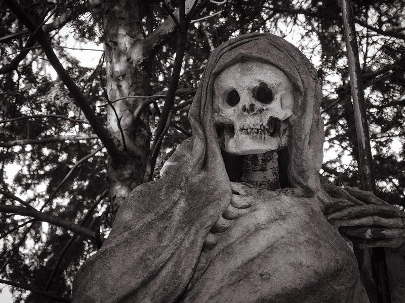 Cobble Hill Halloween Parade — Cobble Hill Park · Sat Oct 31 · 4pm · FREE
