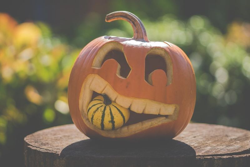 Halloween stock photo